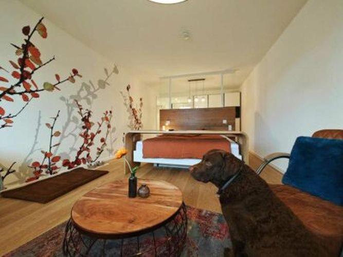 Artroom Boarding Apartment Bissendorf Esterno foto